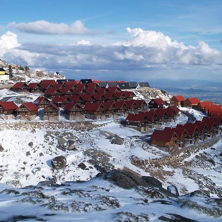 Luna Chalets Da Montanha - Serra Da Estrela Covilhã Eksteriør bilde