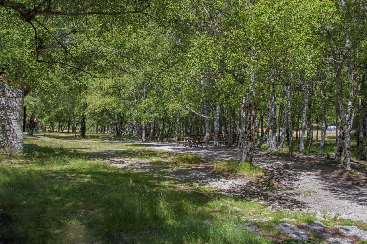 Luna Chalets Da Montanha - Serra Da Estrela Covilhã Eksteriør bilde